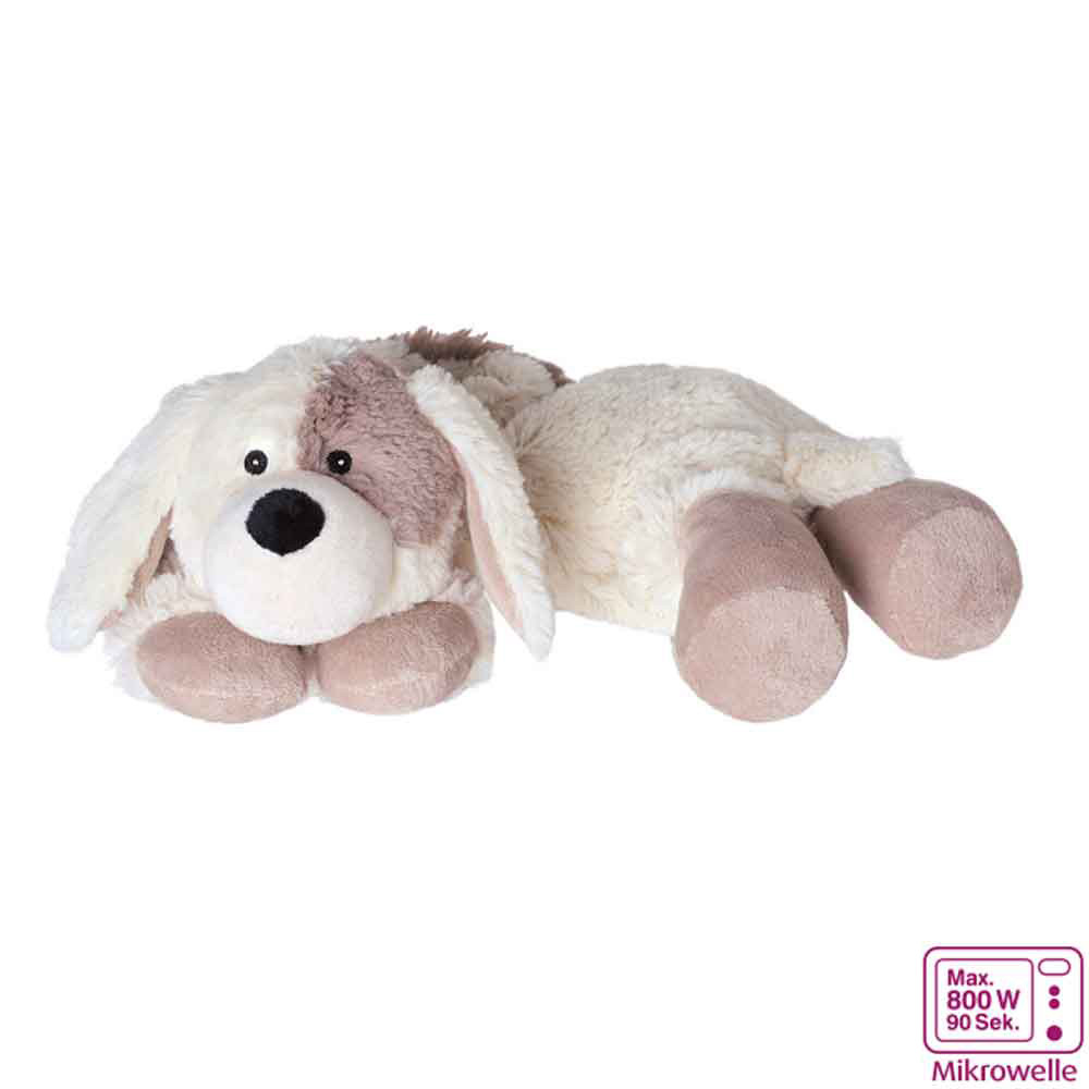 raue pfoten hund