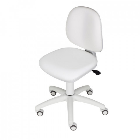 'Working chair with backrest'
